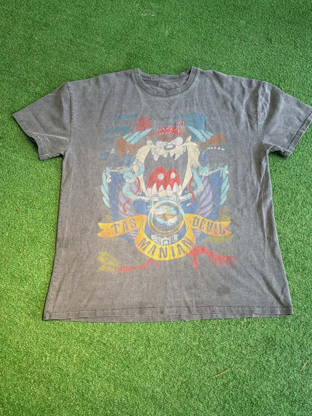 American Thrift X Looney Tunes Taz Motorcycles Heavyweight Vintage T-S